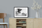 Pixalot ® Elephant Approach