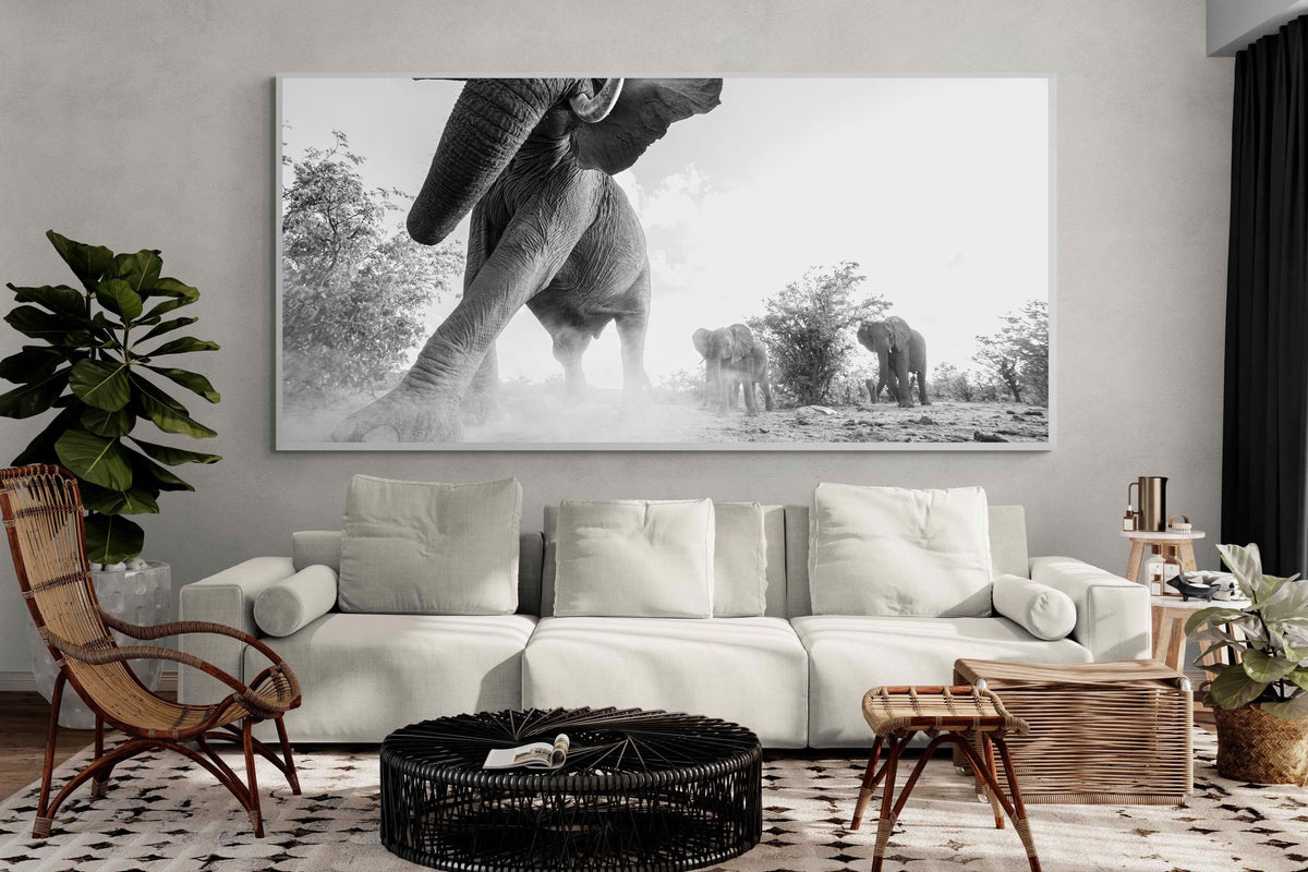 Pixalot ® Elephant Approach