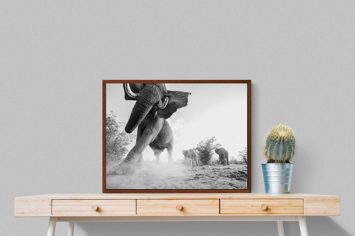 Pixalot ® Elephant Approach