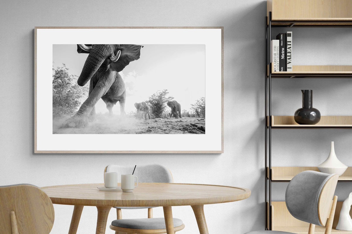 Pixalot ® Elephant Approach
