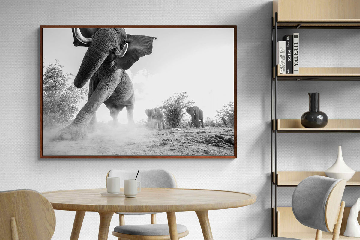 Pixalot ® Elephant Approach