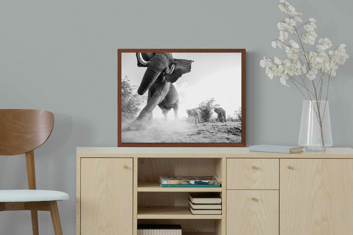 Pixalot ® Elephant Approach