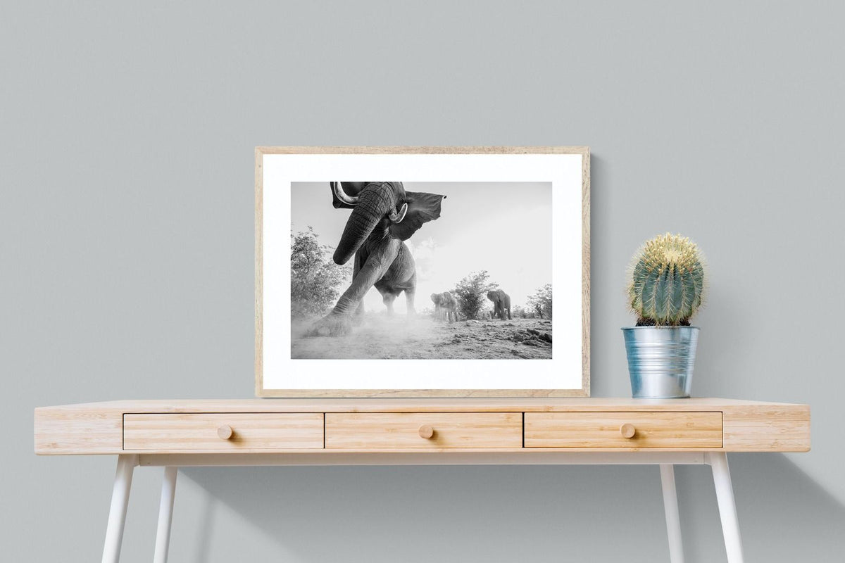 Pixalot ® Elephant Approach