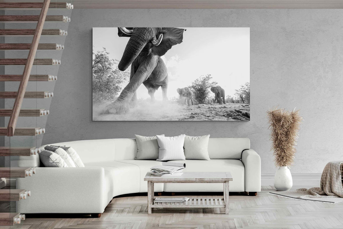 Pixalot ® Elephant Approach