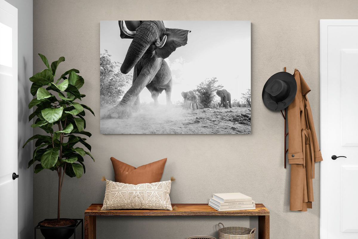 Pixalot ® Elephant Approach