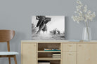 Pixalot ® Elephant Approach