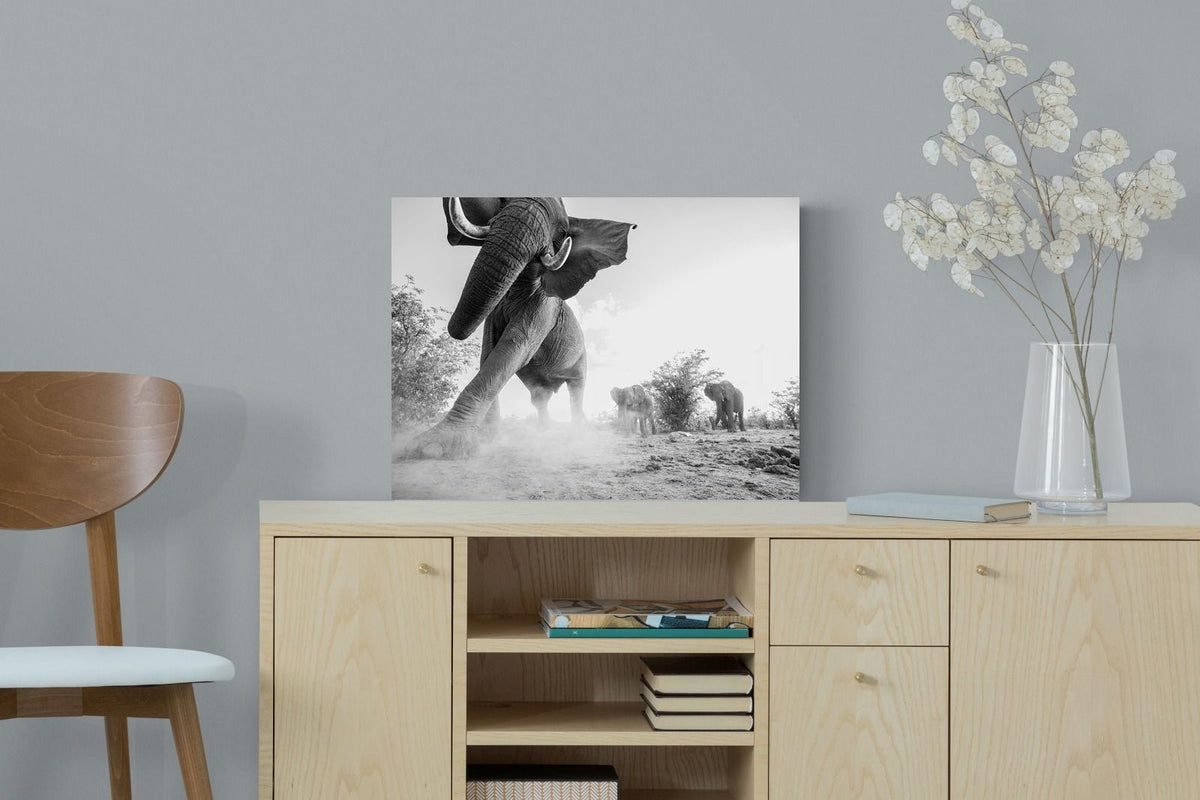 Pixalot ® Elephant Approach