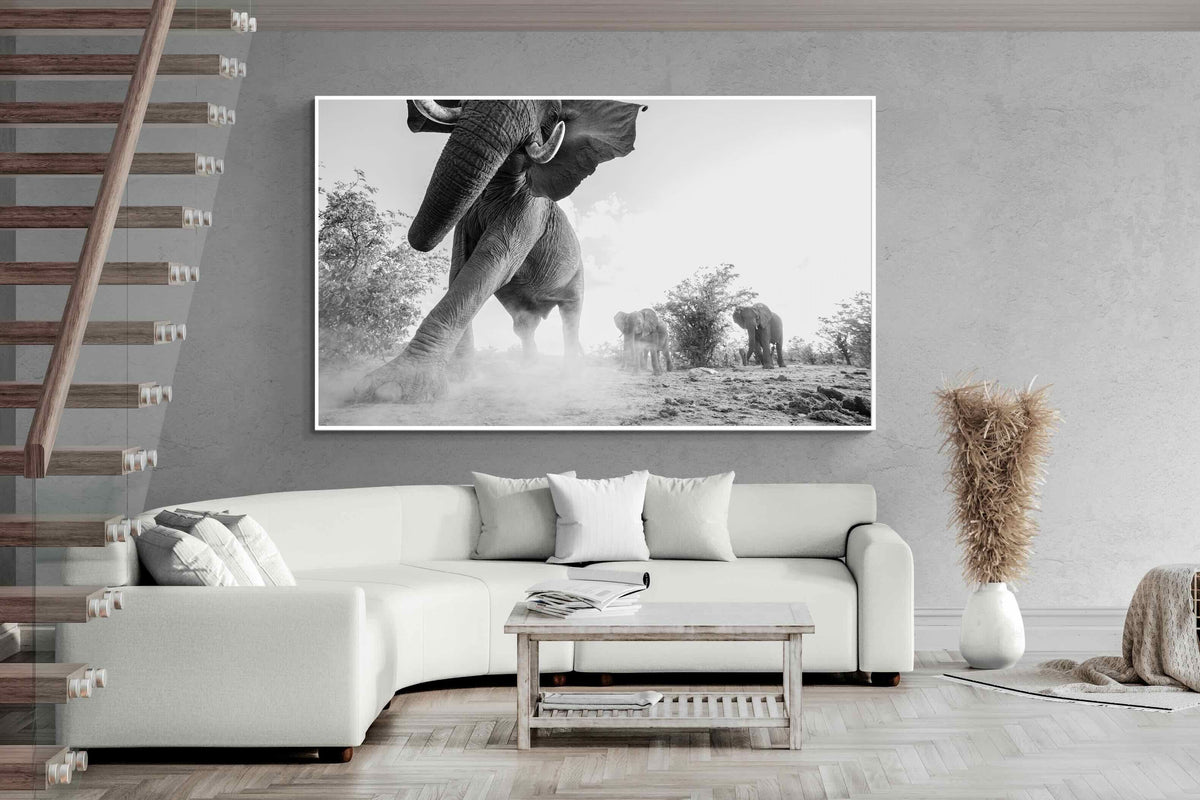 Pixalot ® Elephant Approach