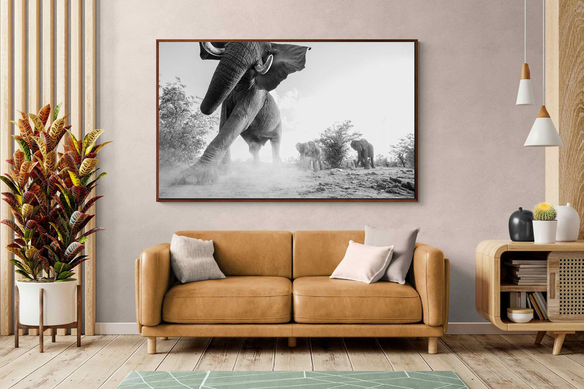 Pixalot ® Elephant Approach
