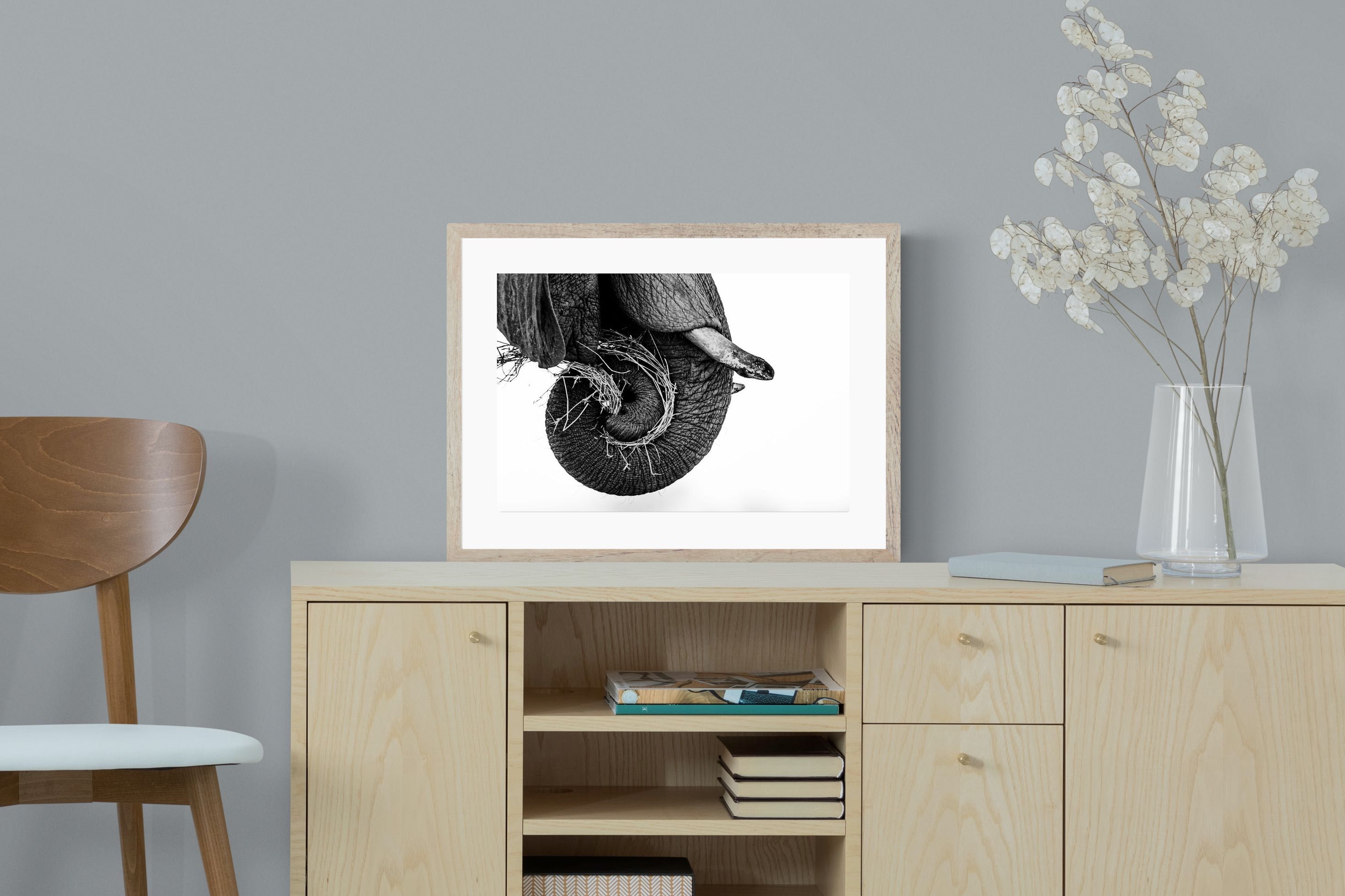 Pixalot ® Elephant Coil