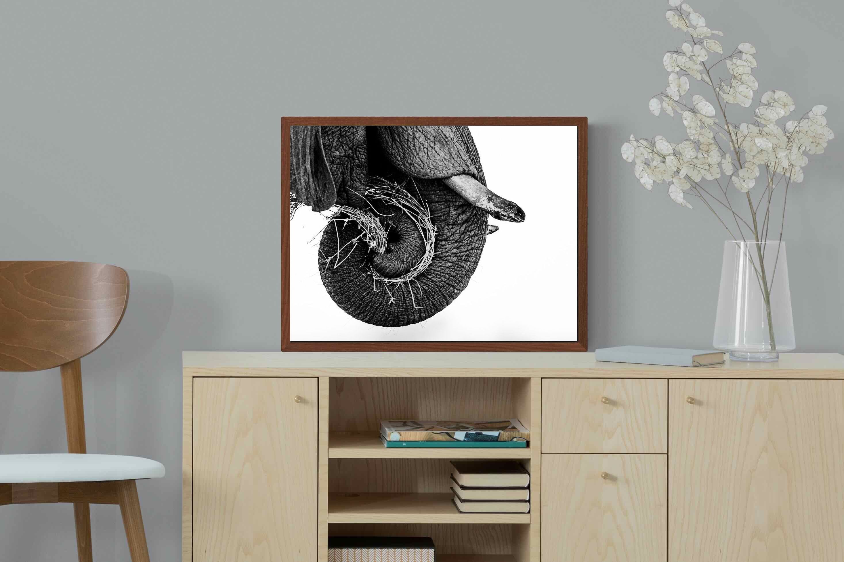 Pixalot ® Elephant Coil