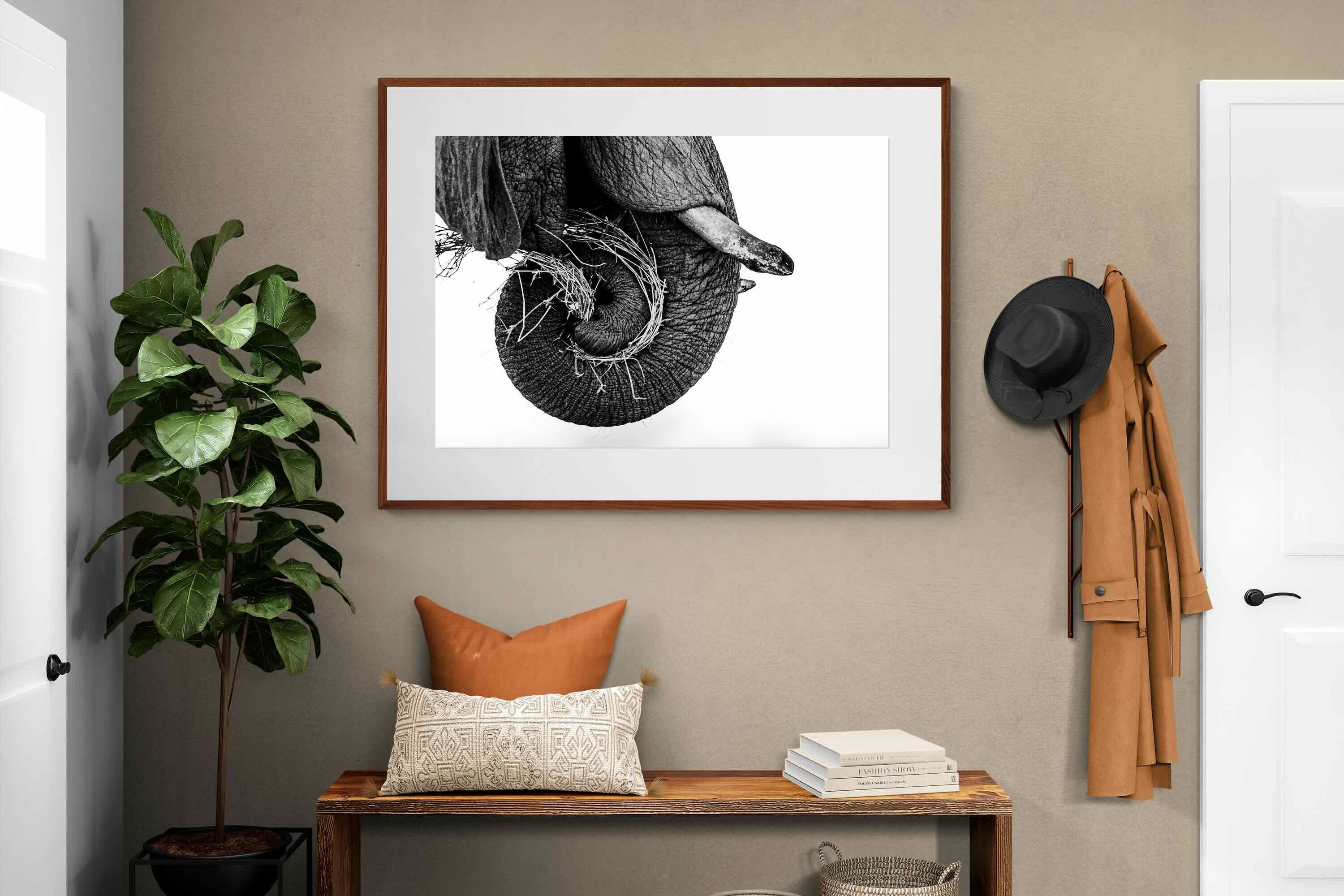 Pixalot ® Elephant Coil