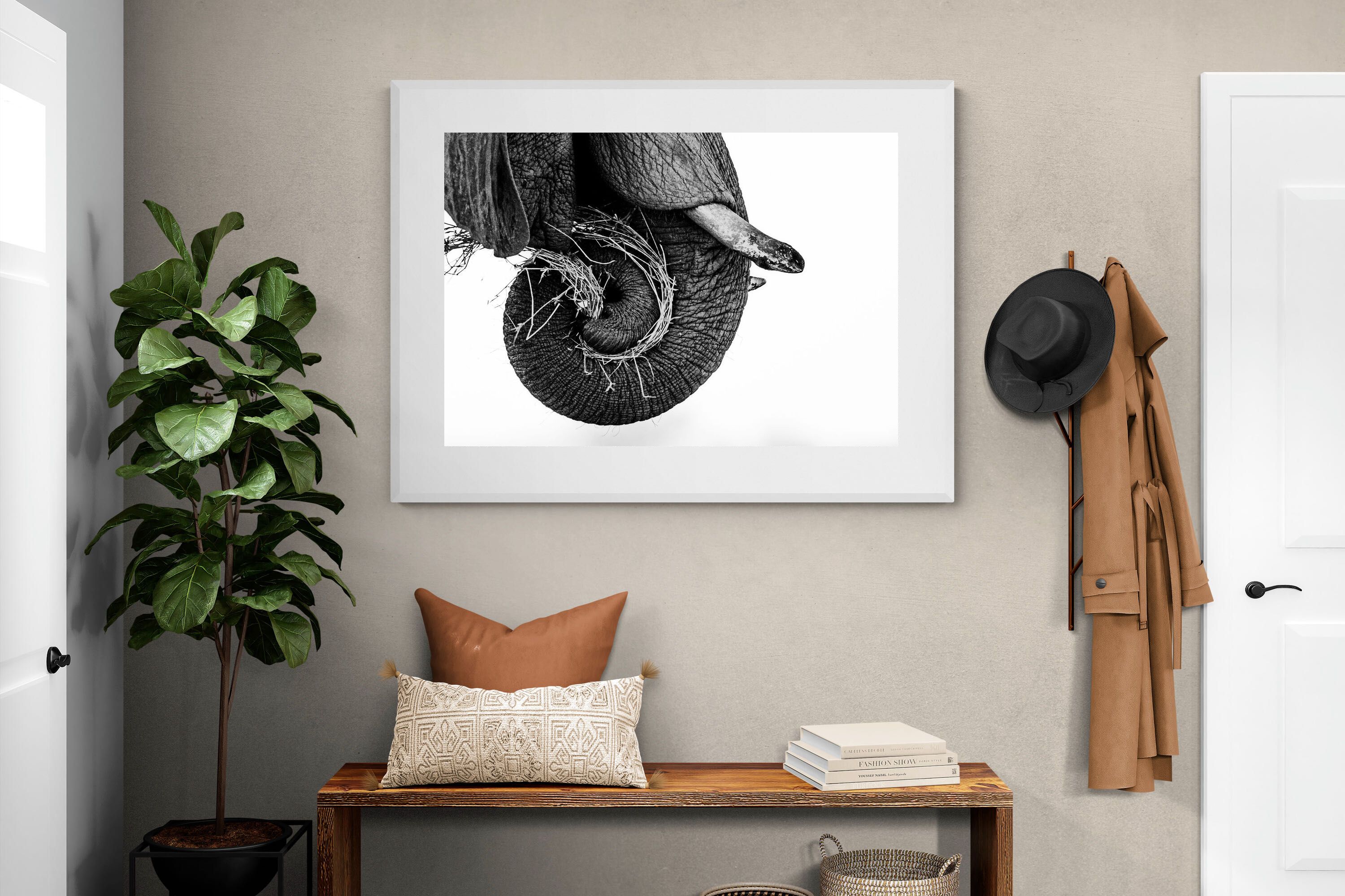 Pixalot ® Elephant Coil