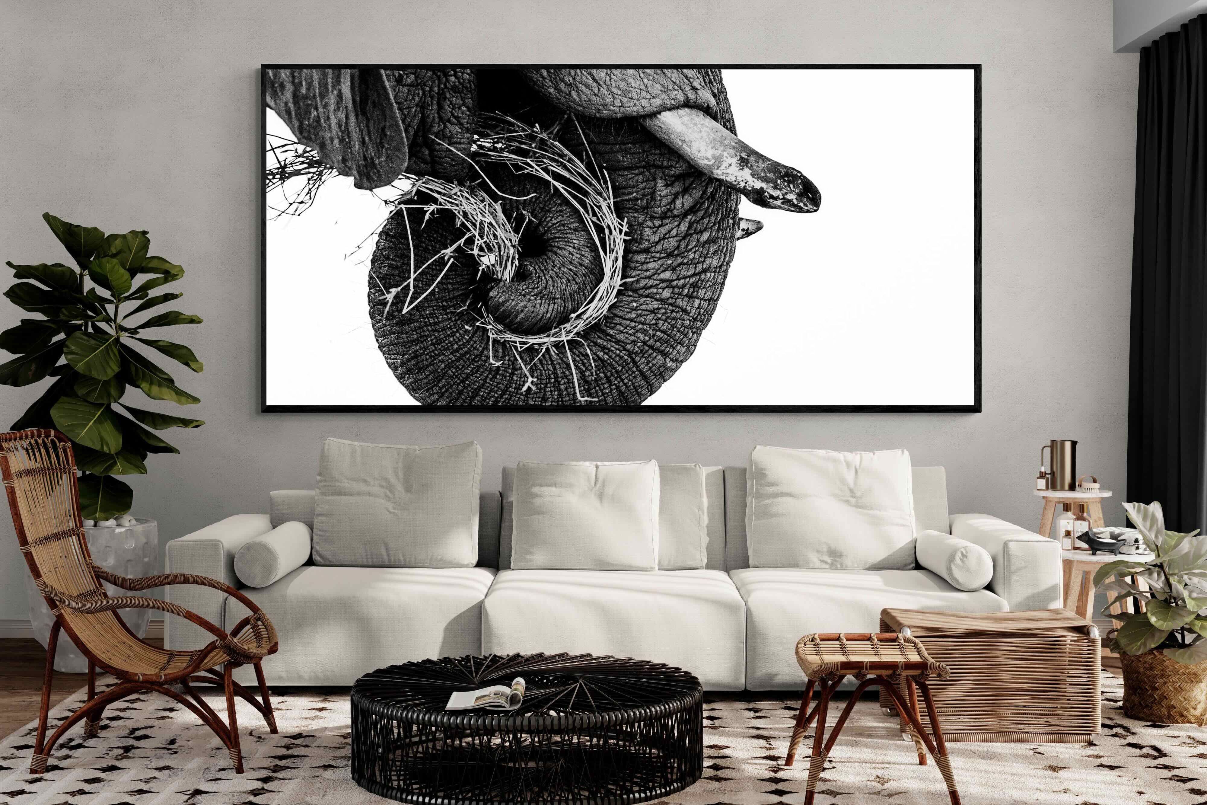 Pixalot ® Elephant Coil