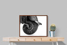 Pixalot ® Elephant Coil