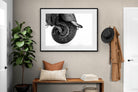 Pixalot ® Elephant Coil