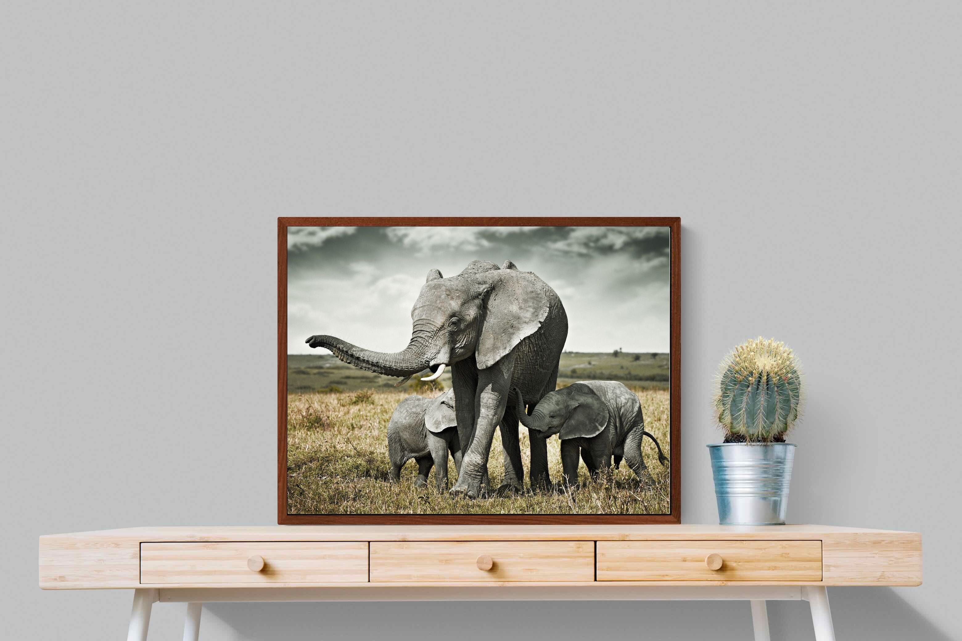 Pixalot ® Elephant Family Union