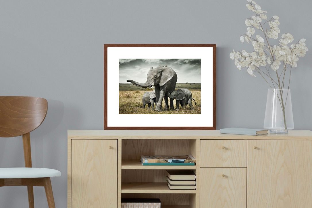 Pixalot ® Elephant Family Union