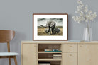 Pixalot ® Elephant Family Union