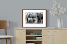 Pixalot ® Elephant Family
