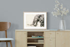 Pixalot ® Elephant Watercolour