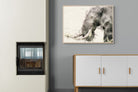 Pixalot ® Elephant Watercolour