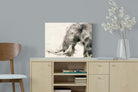 Pixalot ® Elephant Watercolour