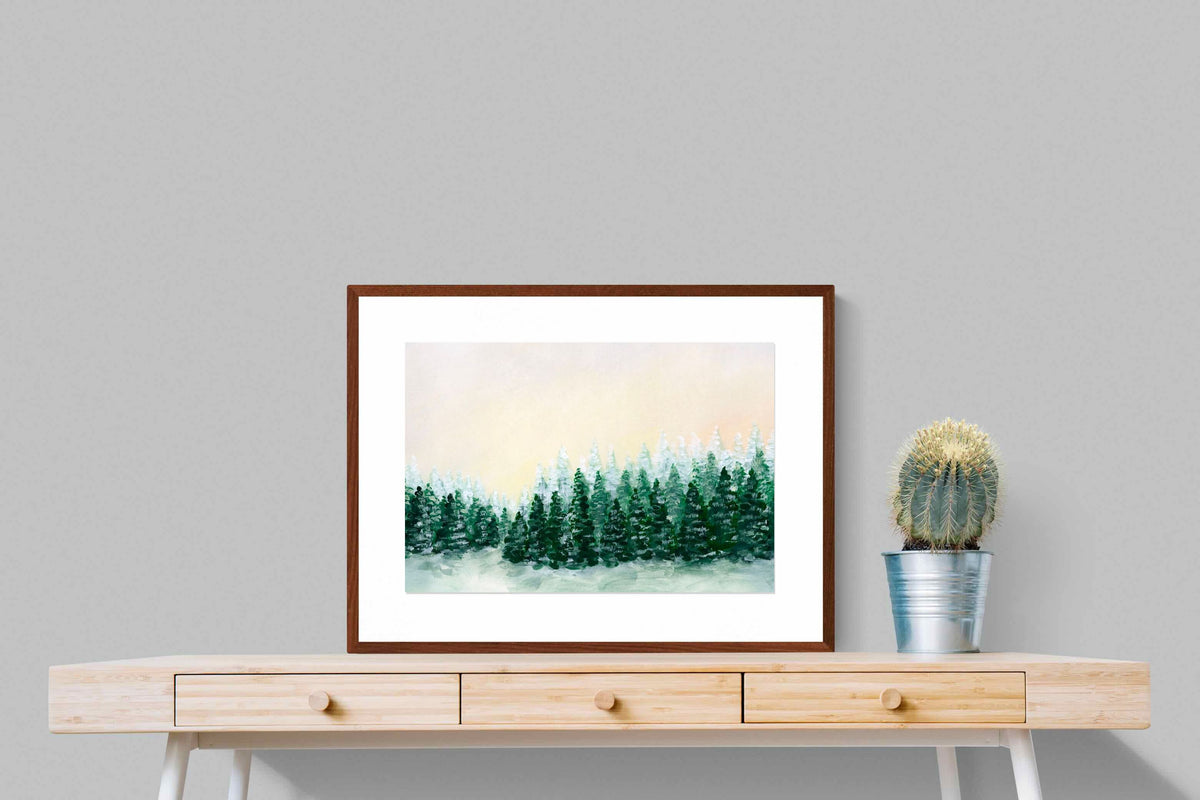 Pixalot ® Evergreens
