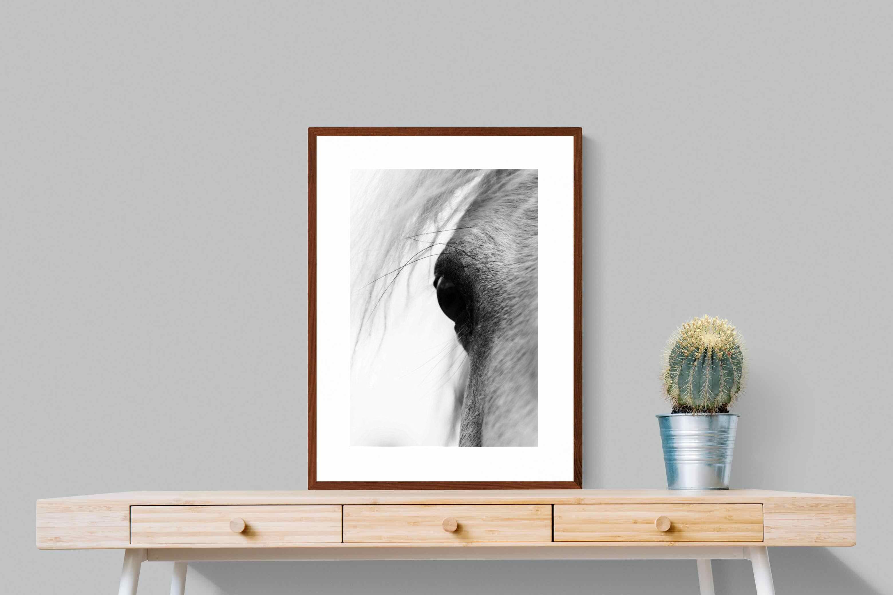 Pixalot ® Eye of the Horse