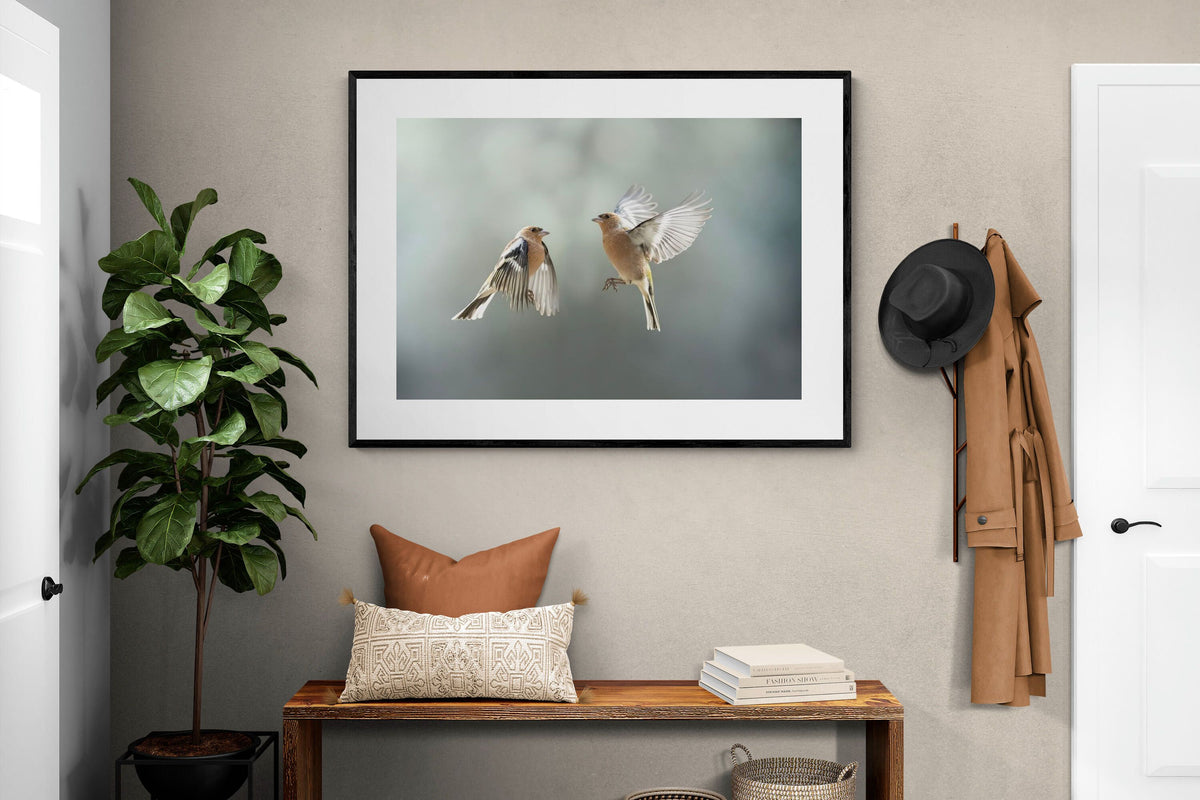 Pixalot ® Finches in Flight
