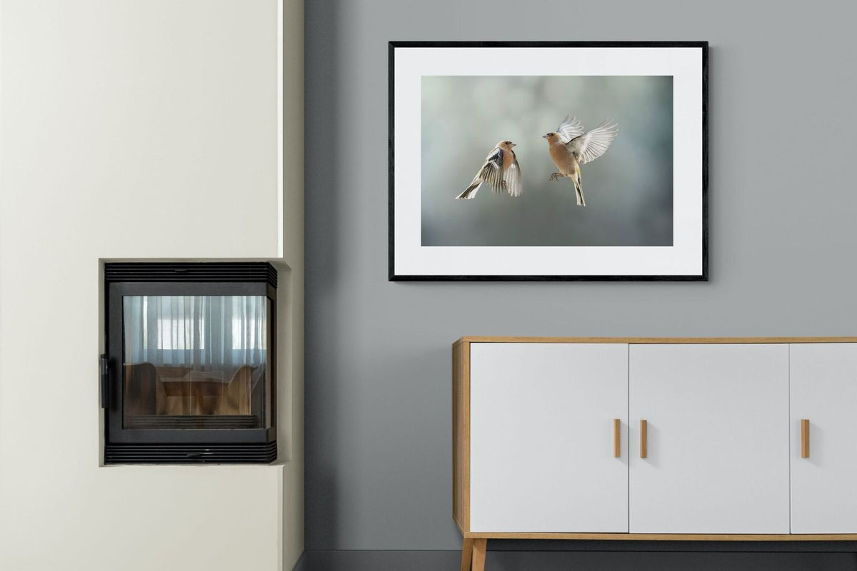 Pixalot ® Finches in Flight
