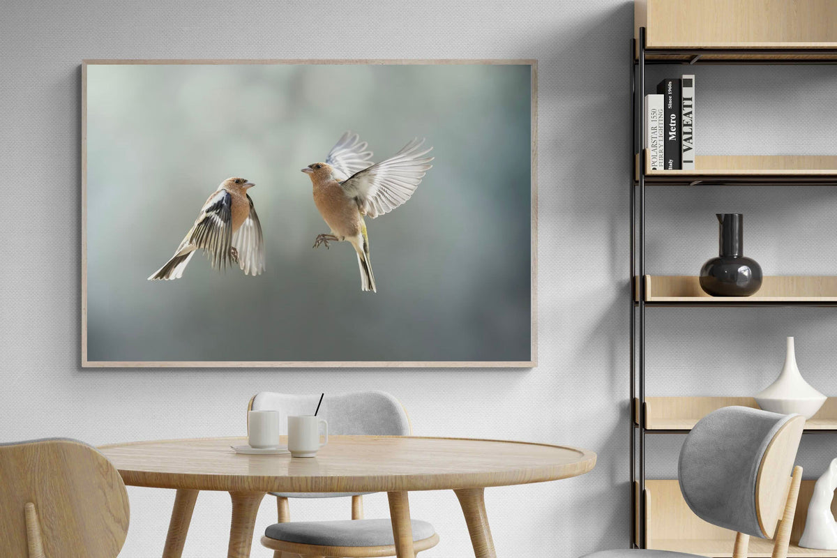 Pixalot ® Finches in Flight