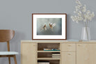 Pixalot ® Finches in Flight