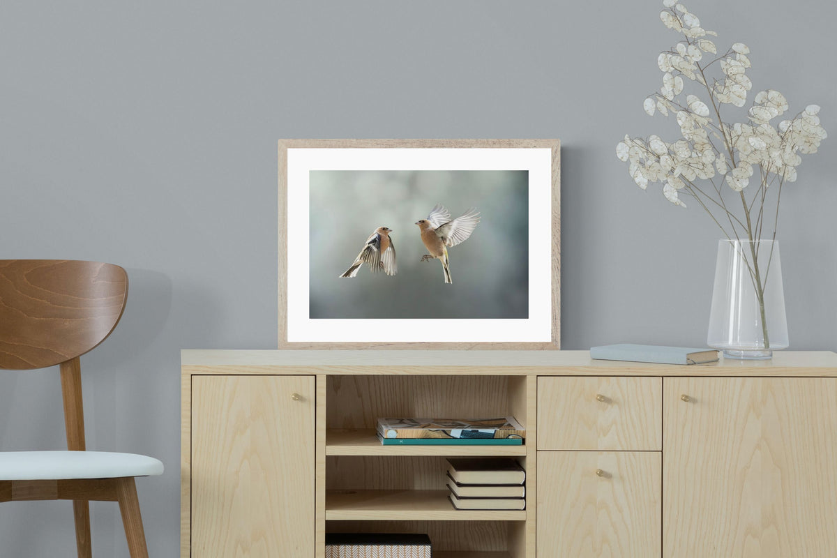 Pixalot ® Finches in Flight