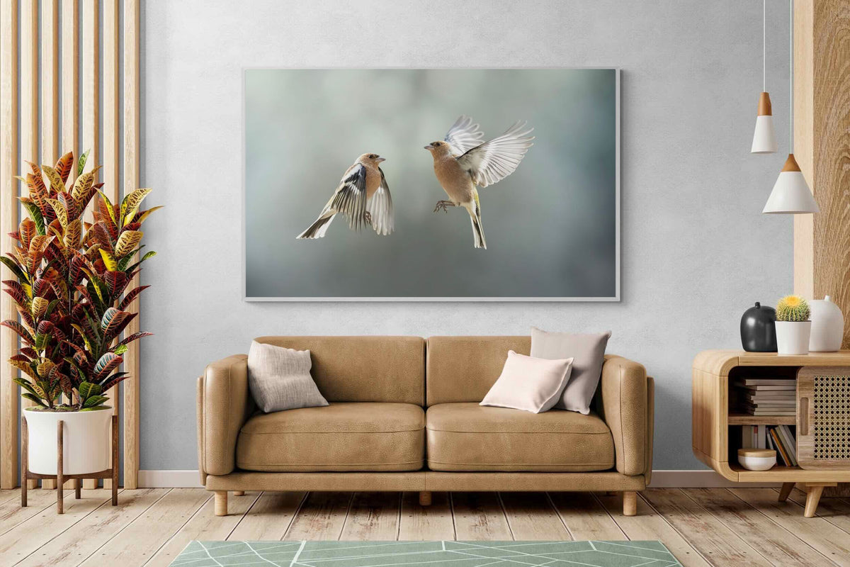 Pixalot ® Finches in Flight
