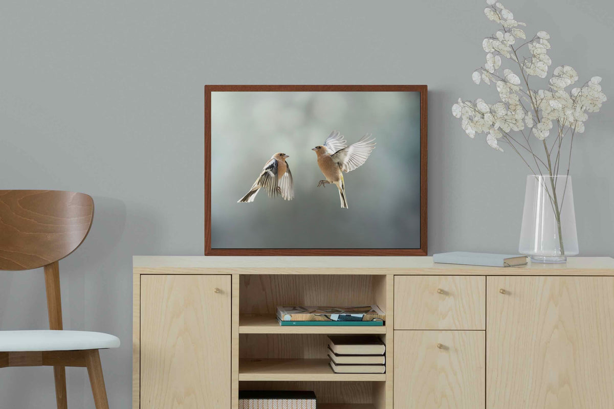 Pixalot ® Finches in Flight