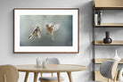 Pixalot ® Finches in Flight