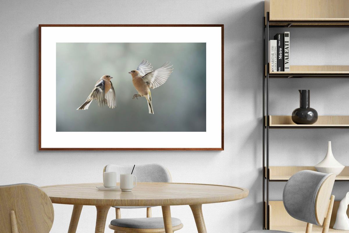Pixalot ® Finches in Flight