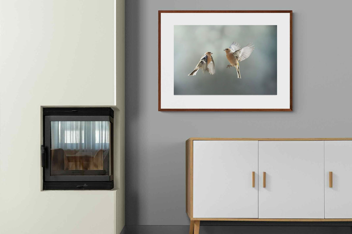 Pixalot ® Finches in Flight