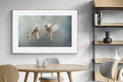 Pixalot ® Finches in Flight