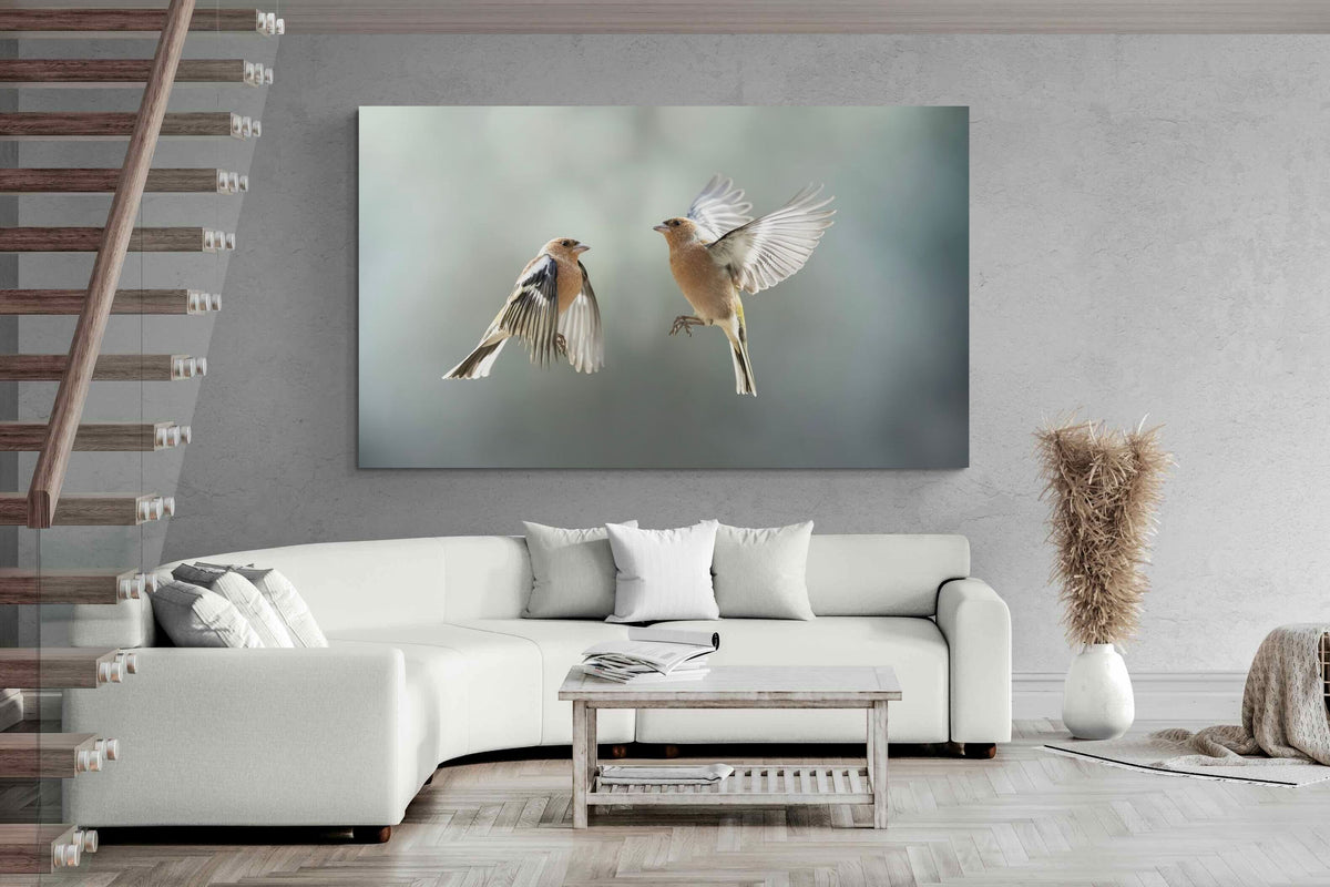 Pixalot ® Finches in Flight