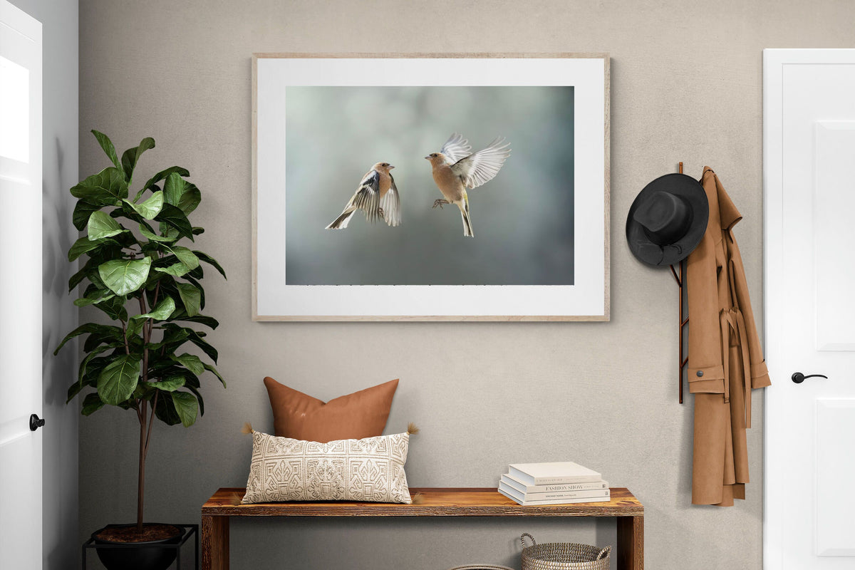 Pixalot ® Finches in Flight