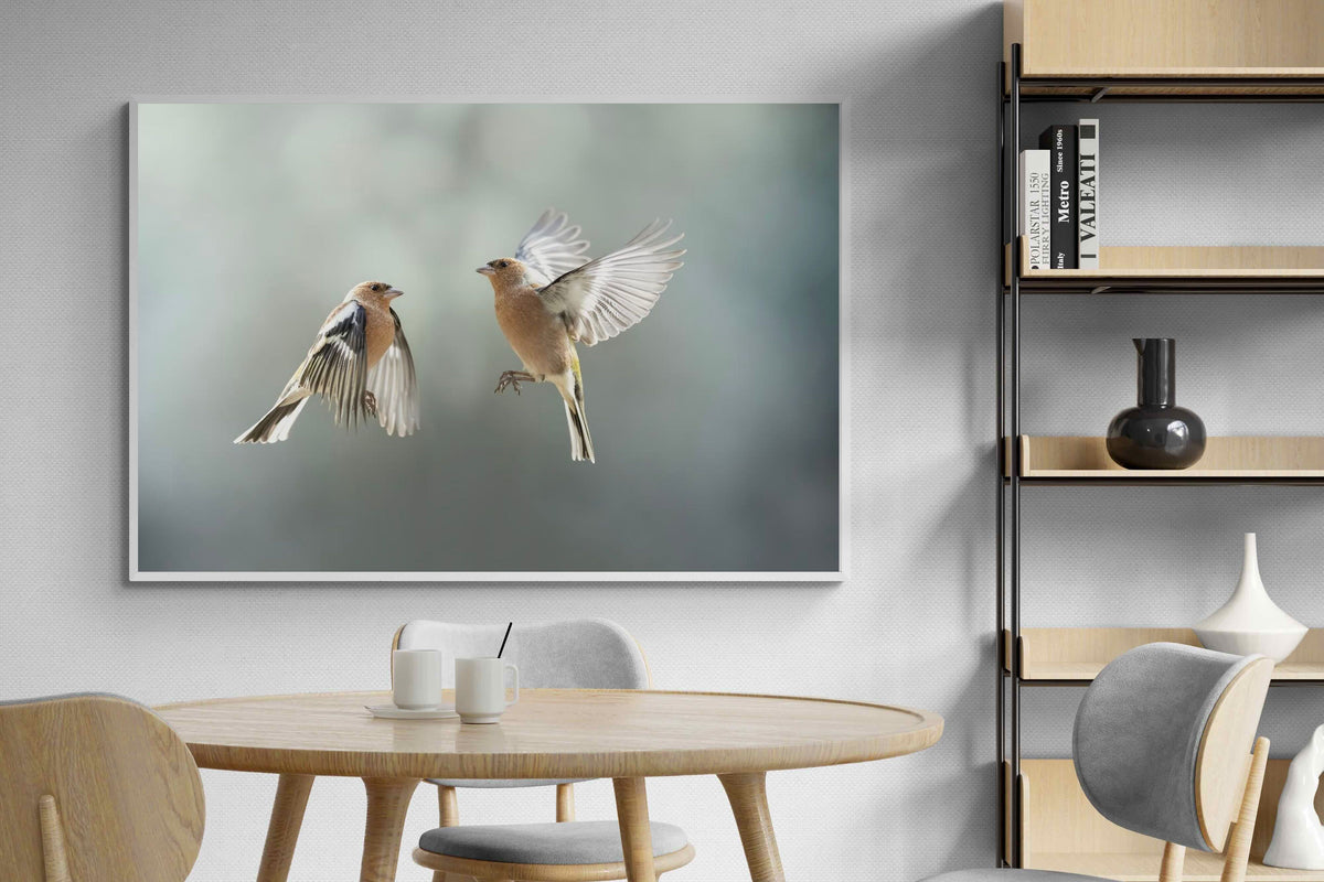 Pixalot ® Finches in Flight
