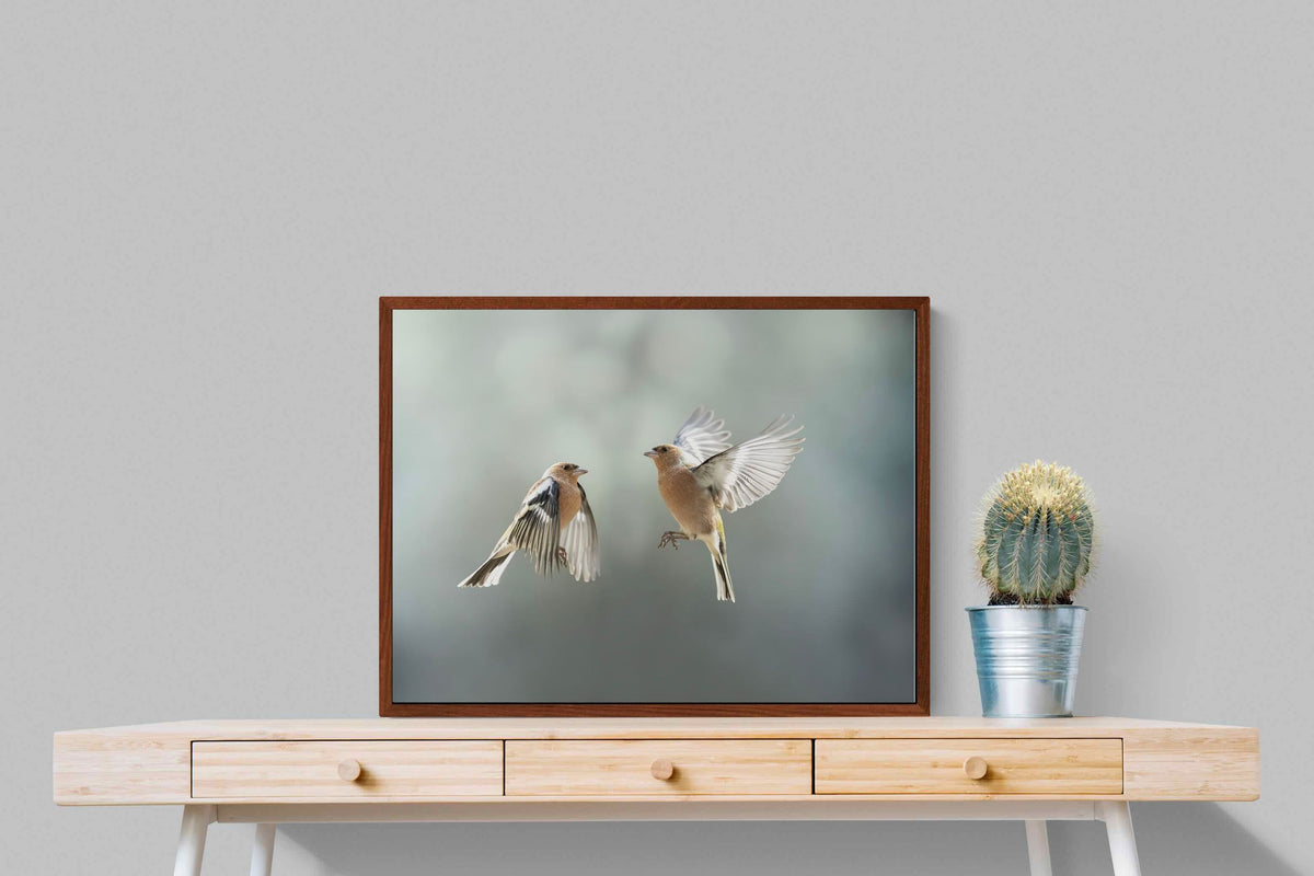 Pixalot ® Finches in Flight