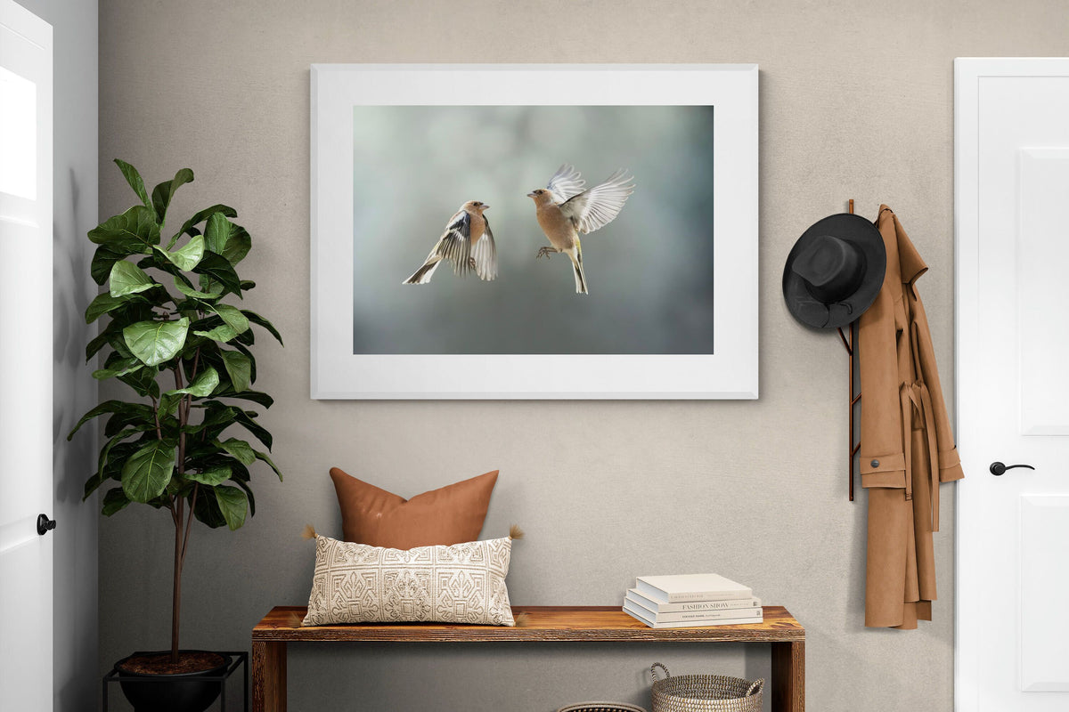 Pixalot ® Finches in Flight