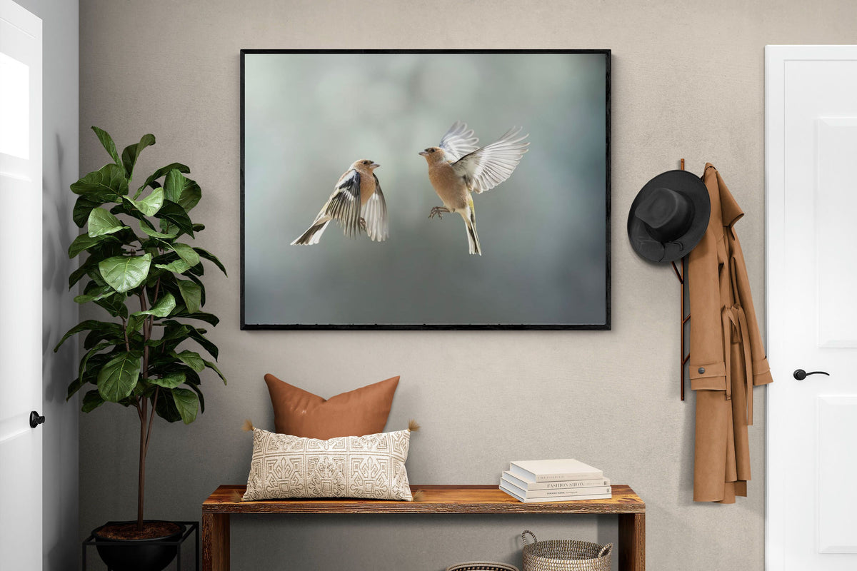 Pixalot ® Finches in Flight