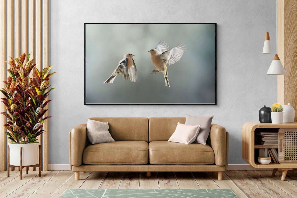 Pixalot ® Finches in Flight