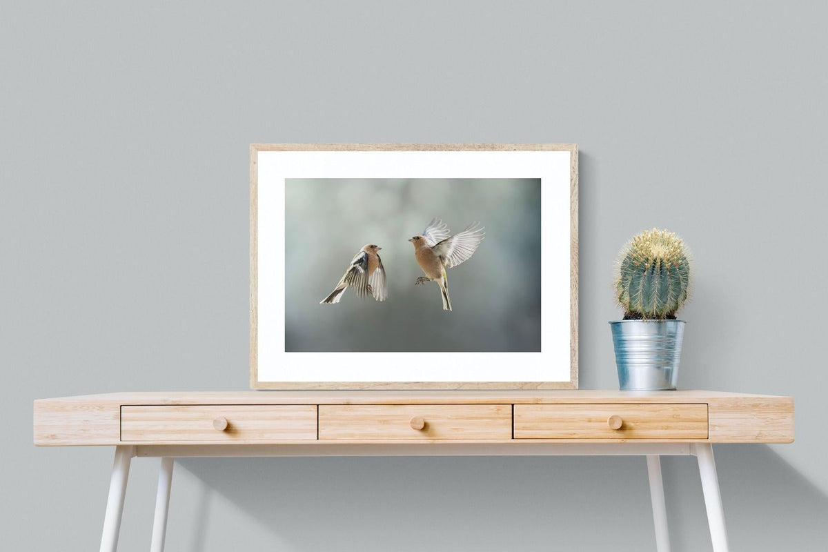 Pixalot ® Finches in Flight