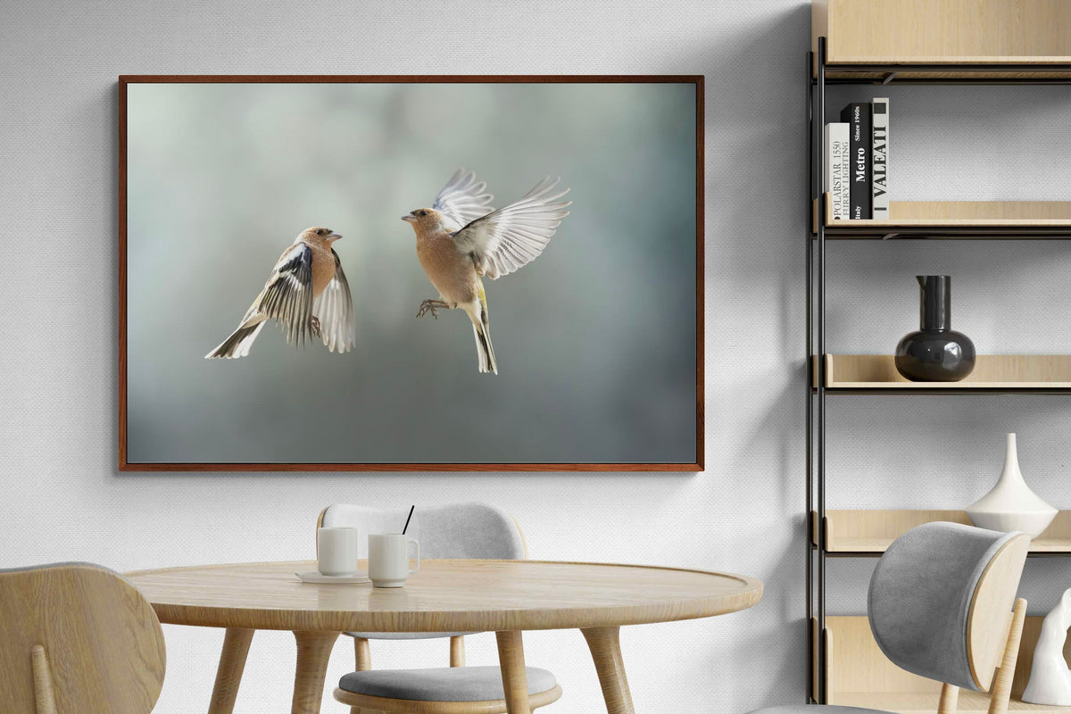 Pixalot ® Finches in Flight
