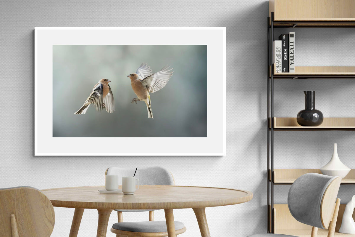 Pixalot ® Finches in Flight